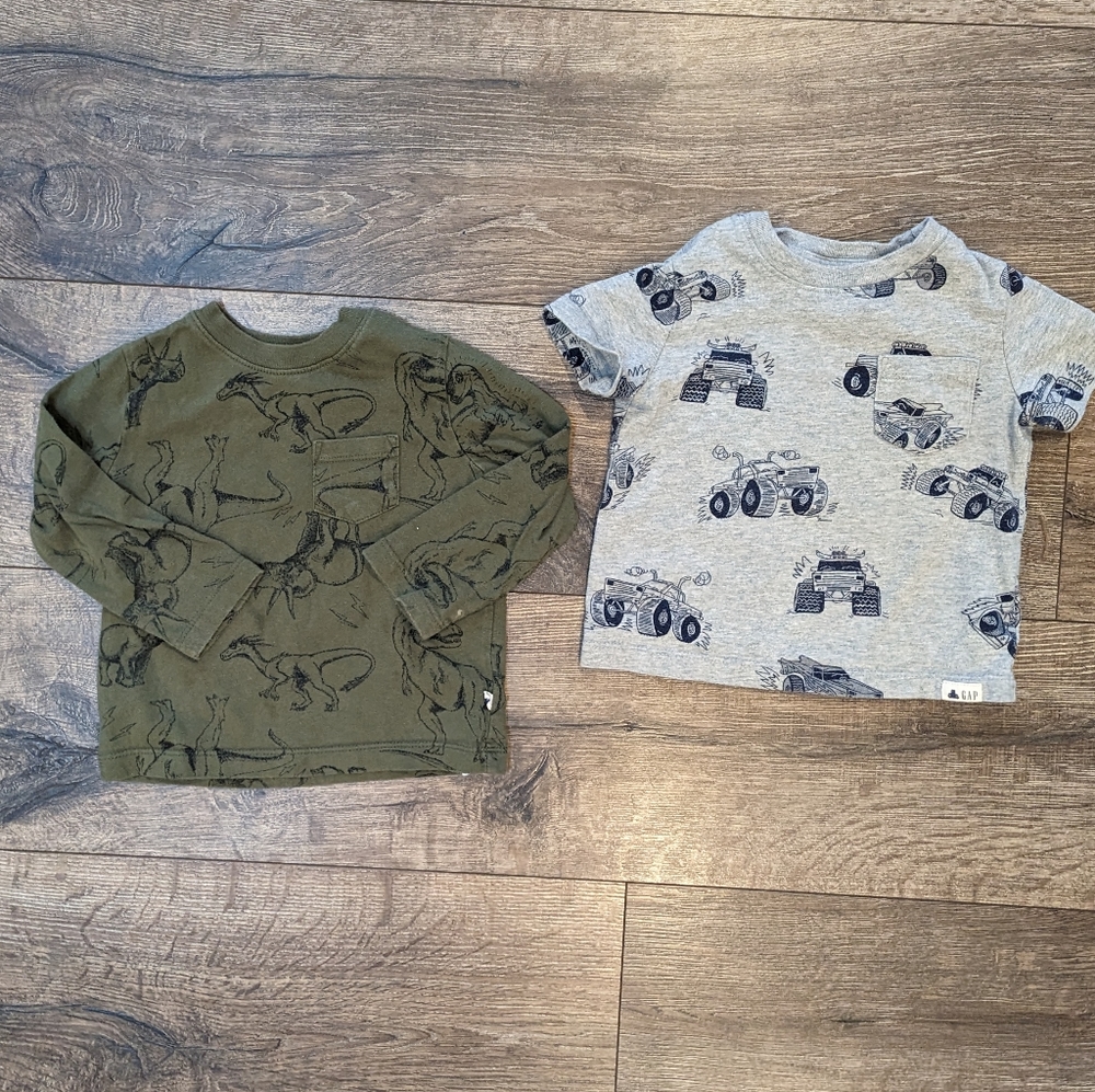 Gap 12-18 Month Toddler Boy T-shirt Shirt Tops Bundle Dinosaurs Monster Trucks